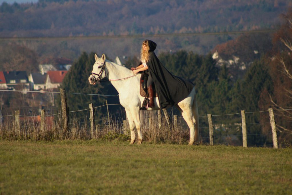 JenHartny - Pferdefotografie im Saarland!